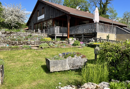 23-05-22 10-31-31 5549